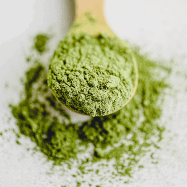 Té Matcha Ceremonial Orgánico - Imagen 3